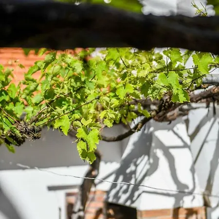 Maison De Ville Tout A Pied Ferienhaus Biarritz